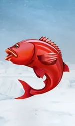 Ice Fishing